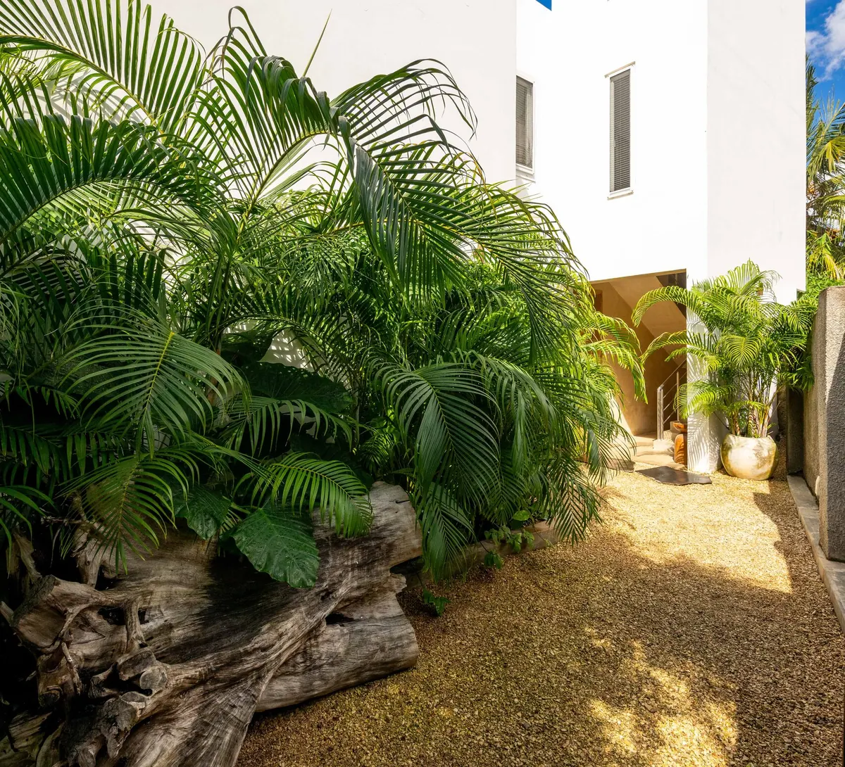 The garden entrance path at Villa Kokos