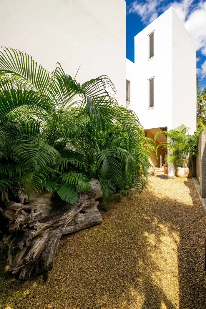 Coral stone path through the tropical garden at Villa Kokos