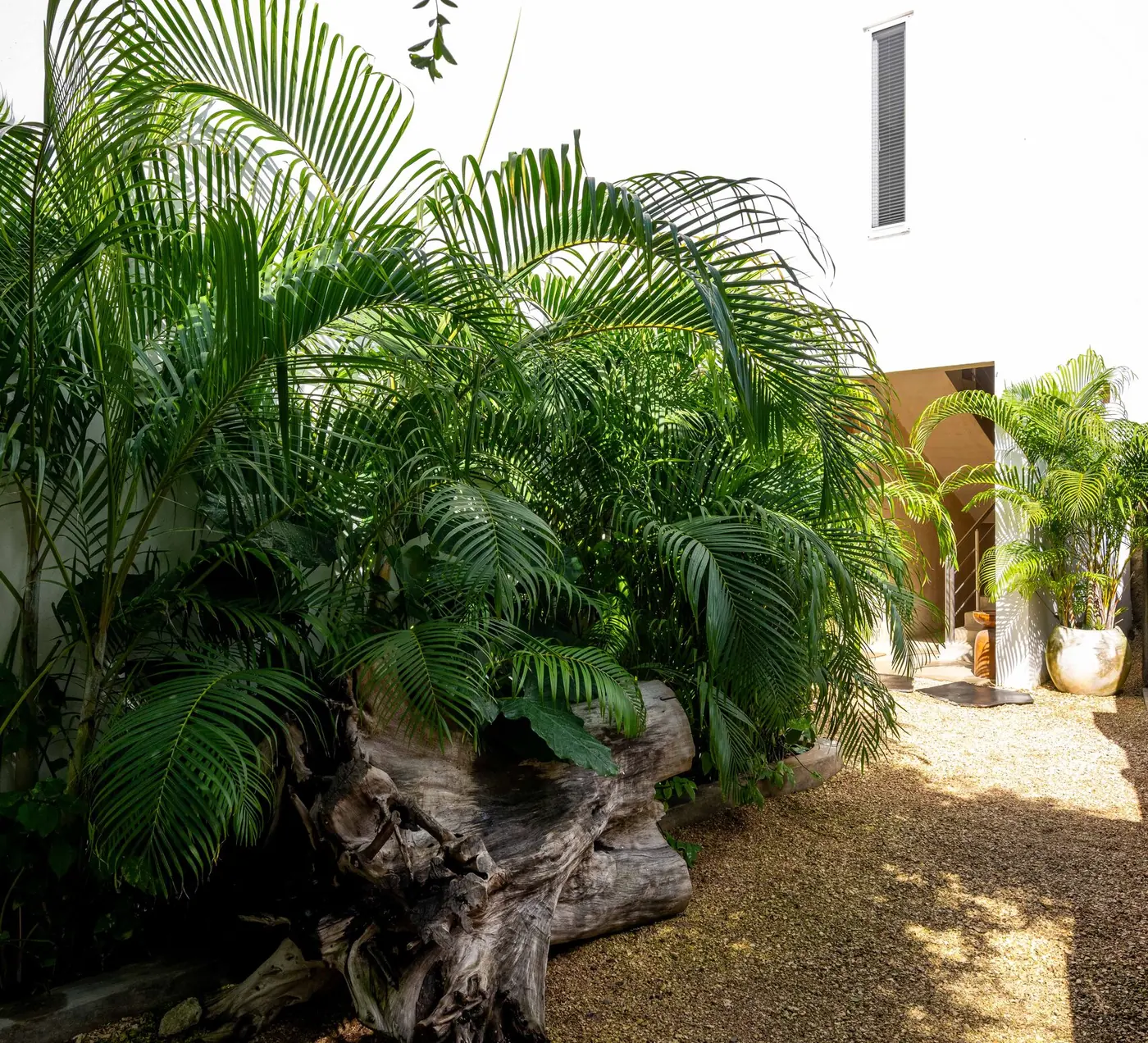 Tropical planting in the garden at Villa Kokos